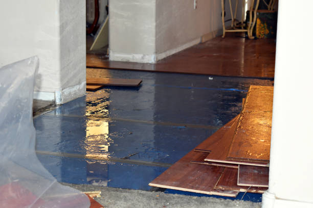 Professional Burst Pipe Cleanup technician working in Naples, FL